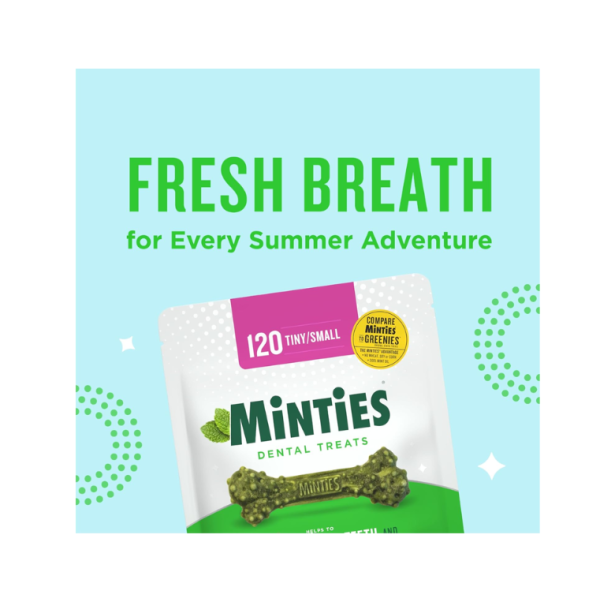 Minties Dental Chews for Small Dogs (5–24 lbs) | Vet-Recommended Mint Flavor, Cleans Teeth & Freshens Breath, 40 Ct - Image 2