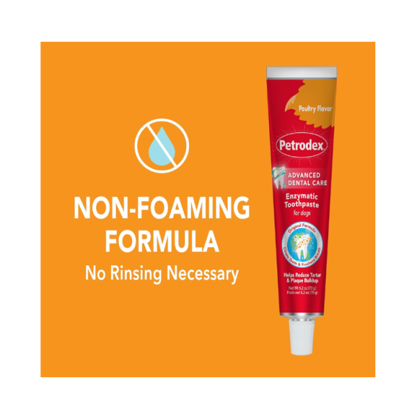 Petrodex Toothpaste for Dogs and Puppies 6.2oz - Image 2