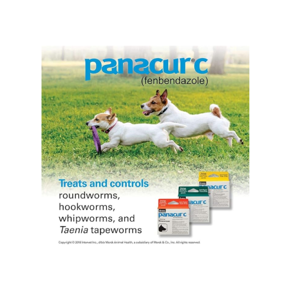 Panacur C Canine Dewormer Fenbendazole - Image 2